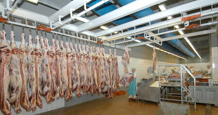 Дезинсекция на мясокомбинате в Раменском, цены на услуги